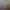https://shared.akamai.steamstatic.com/store_item_assets/steam/apps/1771700/d2c24b509cf987fe8e6df7f4e3e37e2f2e032b34/header_alt_assets_0.jpg?t=1746226867