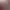 https://shared.akamai.steamstatic.com/store_item_assets/steam/apps/1772530/header.jpg?t=1745505683