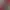 https://shared.akamai.steamstatic.com/store_item_assets/steam/apps/1773700/header.jpg?t=1711727175