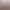 https://shared.akamai.steamstatic.com/store_item_assets/steam/apps/1774890/header.jpg?t=1726543487