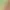 https://shared.akamai.steamstatic.com/store_item_assets/steam/apps/1775220/header.jpg?t=1745479186