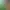 https://shared.akamai.steamstatic.com/store_item_assets/steam/apps/1778970/header.jpg?t=1722346140