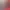 https://shared.akamai.steamstatic.com/store_item_assets/steam/apps/1782070/header.jpg?t=1652467152