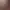 https://shared.akamai.steamstatic.com/store_item_assets/steam/apps/1782860/header.jpg?t=1734034868