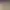 https://shared.akamai.steamstatic.com/store_item_assets/steam/apps/1787840/header.jpg?t=1636420279