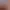 https://shared.akamai.steamstatic.com/store_item_assets/steam/apps/1788780/header.jpg?t=1730127286