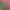 https://shared.akamai.steamstatic.com/store_item_assets/steam/apps/1795010/header.jpg?t=1746083123