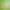 https://shared.akamai.steamstatic.com/store_item_assets/steam/apps/1795110/header.jpg?t=1729800319
