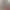 https://shared.akamai.steamstatic.com/store_item_assets/steam/apps/1796790/header.jpg?t=1735011437