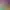 https://shared.akamai.steamstatic.com/store_item_assets/steam/apps/1796930/header.jpg?t=1725607861