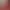 https://shared.akamai.steamstatic.com/store_item_assets/steam/apps/1798120/header.jpg?t=1711693803