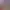 https://shared.akamai.steamstatic.com/store_item_assets/steam/apps/1804640/header.jpg?t=1737206826