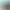 Autos.