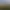 Scientifically Accurate Dinosaur Mating Simulator 2021.