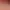 https://shared.akamai.steamstatic.com/store_item_assets/steam/apps/1810230/header.jpg?t=1640638233