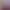 https://shared.akamai.steamstatic.com/store_item_assets/steam/apps/1812890/header.jpg?t=1658263190