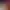 https://shared.akamai.steamstatic.com/store_item_assets/steam/apps/1813130/header.jpg?t=1729108236