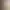 https://shared.akamai.steamstatic.com/store_item_assets/steam/apps/1815820/header.jpg?t=1740474197