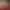 https://shared.akamai.steamstatic.com/store_item_assets/steam/apps/1816710/header.jpg?t=1713618829