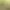 https://shared.akamai.steamstatic.com/store_item_assets/steam/apps/1822240/header.jpg?t=1750501820