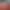 https://shared.akamai.steamstatic.com/store_item_assets/steam/apps/1825130/header.jpg?t=1726617114