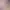 https://shared.akamai.steamstatic.com/store_item_assets/steam/apps/1830910/header.jpg?t=1744984043