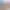https://shared.akamai.steamstatic.com/store_item_assets/steam/apps/1836860/header.jpg?t=1730854291