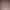https://shared.akamai.steamstatic.com/store_item_assets/steam/apps/1836940/header.jpg?t=1733273336