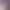 https://shared.akamai.steamstatic.com/store_item_assets/steam/apps/1842730/header.jpg?t=1741739782