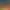 https://shared.akamai.steamstatic.com/store_item_assets/steam/apps/1856910/header.jpg?t=1707744604