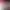 https://shared.akamai.steamstatic.com/store_item_assets/steam/apps/1868600/header.jpg?t=1644613450
