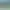 Primitive Society Simulator.
