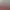 https://shared.akamai.steamstatic.com/store_item_assets/steam/apps/1882040/header.jpg?t=1727408478