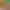 https://shared.akamai.steamstatic.com/store_item_assets/steam/apps/1886400/header.jpg?t=1704782717