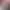 https://shared.akamai.steamstatic.com/store_item_assets/steam/apps/1888160/header.jpg?t=1748630736