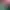 https://shared.akamai.steamstatic.com/store_item_assets/steam/apps/1888200/header.jpg?t=1744895926