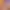 https://shared.akamai.steamstatic.com/store_item_assets/steam/apps/1888470/header.jpg?t=1730229346