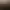 Trainz Plus.