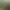 Trainz Plus.