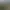 Trainz Plus.