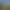 Trainz Plus.