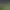 https://shared.akamai.steamstatic.com/store_item_assets/steam/apps/1905160/header.jpg?t=1743185872