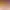 https://shared.akamai.steamstatic.com/store_item_assets/steam/apps/1905220/header.jpg?t=1739398088