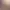 https://shared.akamai.steamstatic.com/store_item_assets/steam/apps/1907630/header.jpg?t=1741191718