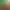 https://shared.akamai.steamstatic.com/store_item_assets/steam/apps/1907810/header.jpg?t=1727895445