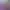 https://shared.akamai.steamstatic.com/store_item_assets/steam/apps/1907830/header.jpg?t=1727895571