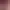 https://shared.akamai.steamstatic.com/store_item_assets/steam/apps/1909270/header.jpg?t=1735930017