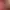 https://shared.akamai.steamstatic.com/store_item_assets/steam/apps/1913720/header.jpg?t=1747723270