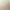 https://shared.akamai.steamstatic.com/store_item_assets/steam/apps/1918560/header.jpg?t=1739075751
