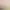 https://shared.akamai.steamstatic.com/store_item_assets/steam/apps/1918680/header.jpg?t=1685341754
